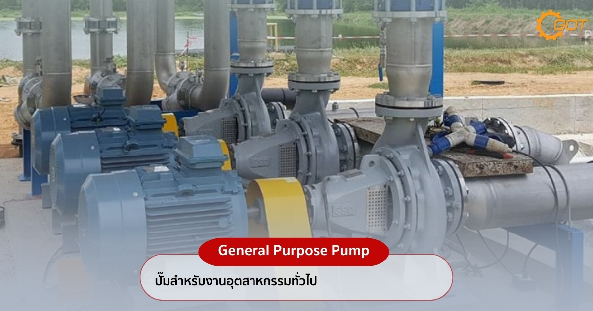 General Purpose Pump/ปั๊มสำหรับงานอุตสาหกรรมทั่วไป