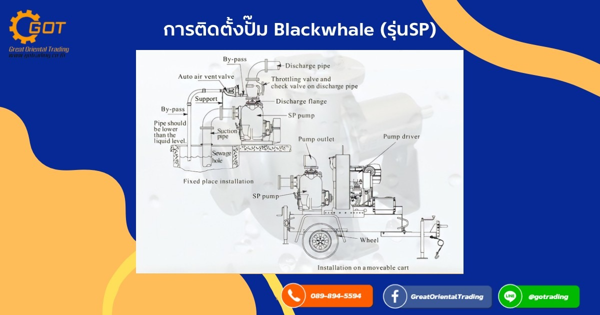 การติดตั้งปั๊ม Black Whale (รุ่น SP) การตรวจเช็คก่อนการติดตั้งปั๊ม  ภาพตำแหน่งการติดตั้งปั๊ม