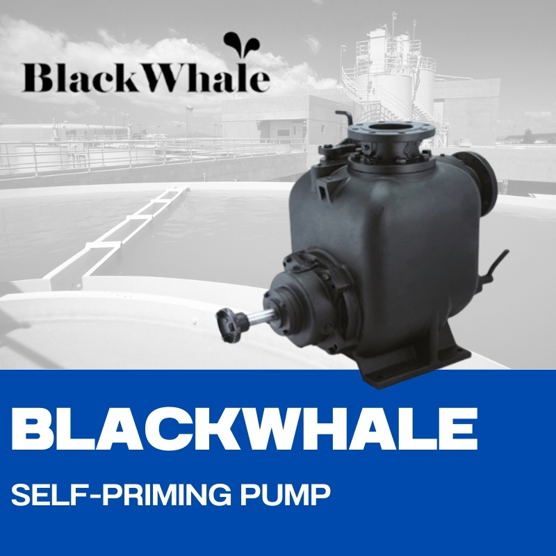 BLACKWHALE SELF-PRIMING PUMP/ปั๊มน้ำเสีย แบล๊คเวล
